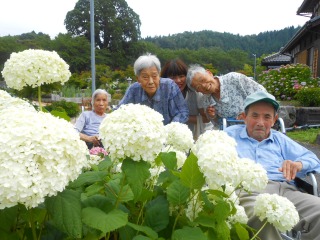 DSCN0461.jpg